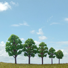model trees
